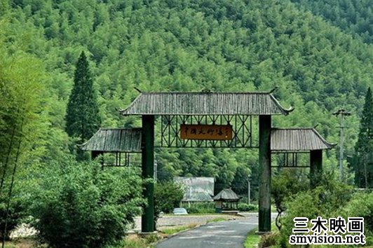 中国最美竹林盘点：身在竹海，静享自在