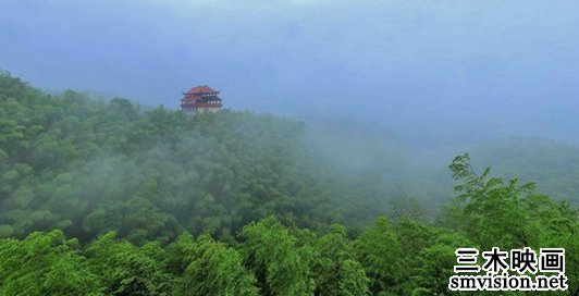 中国最美竹林盘点：身在竹海，静享自在